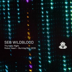 Seb Wildblood - Robot Heart - Burning Man 2018