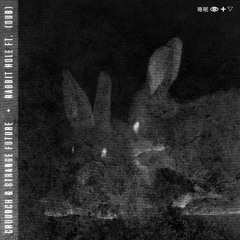CHUURCH + STRANGE FUTURE | RABBIT HOLE (DUB)