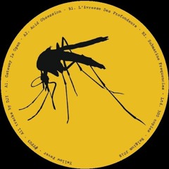 DJI - L'Ivresse des Profondeurs (Yellow Fever 05)