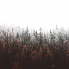 Observations