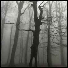 La Femme – Le Blues De Françoise (Bass Température Remix)