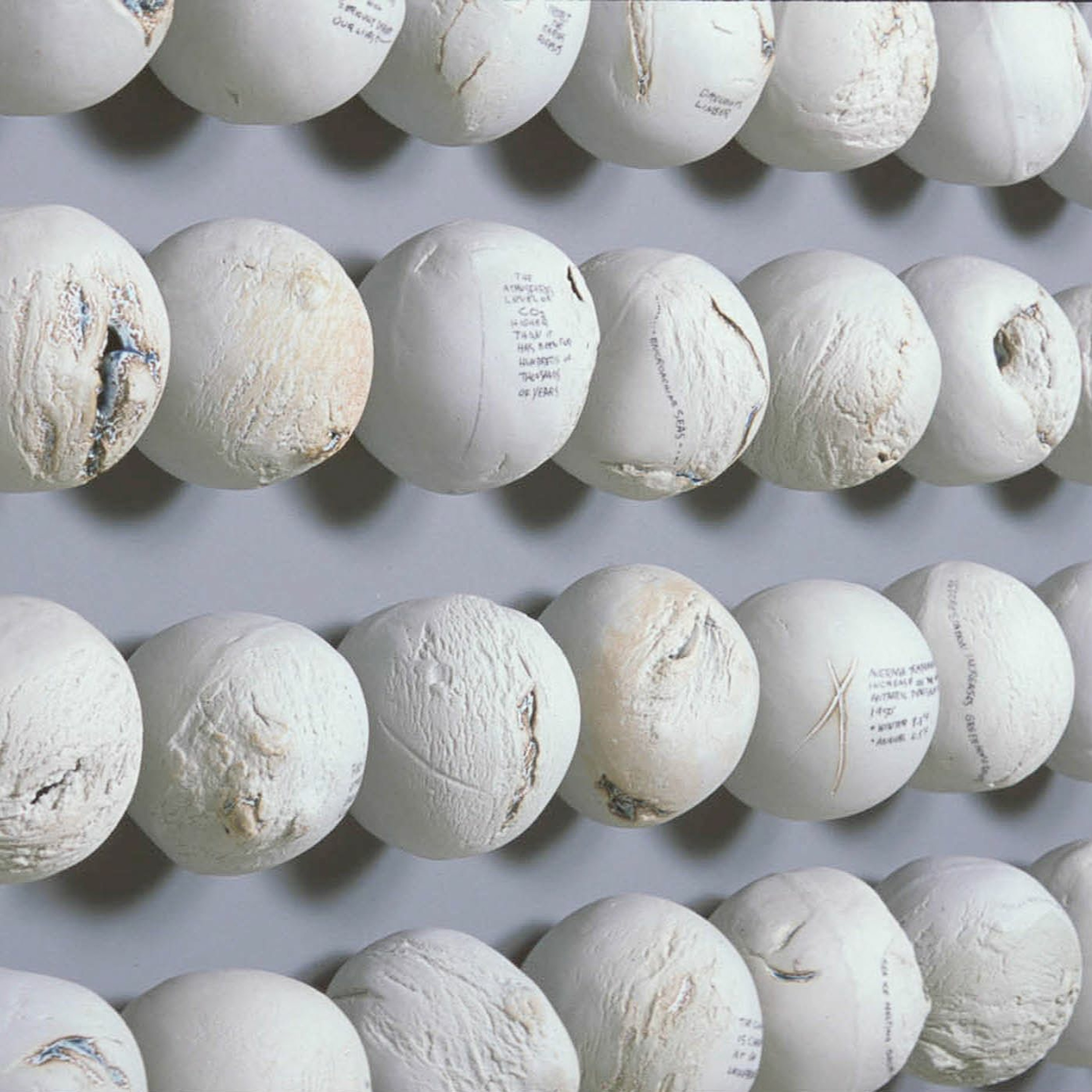 Conversations with Legends: Paula Winokur