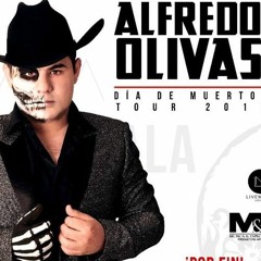 ALFREDO OLIVAS | SPOT RADIAL