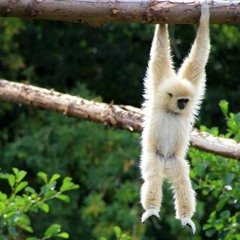 Don't Leave Me Hanging On