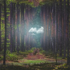 Trails