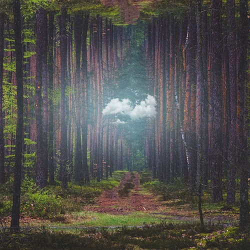 Trails