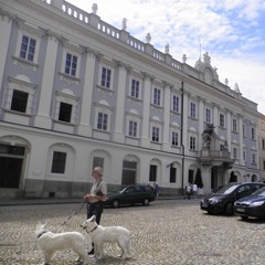 mermaids with guns - 31:10:2018 19:42