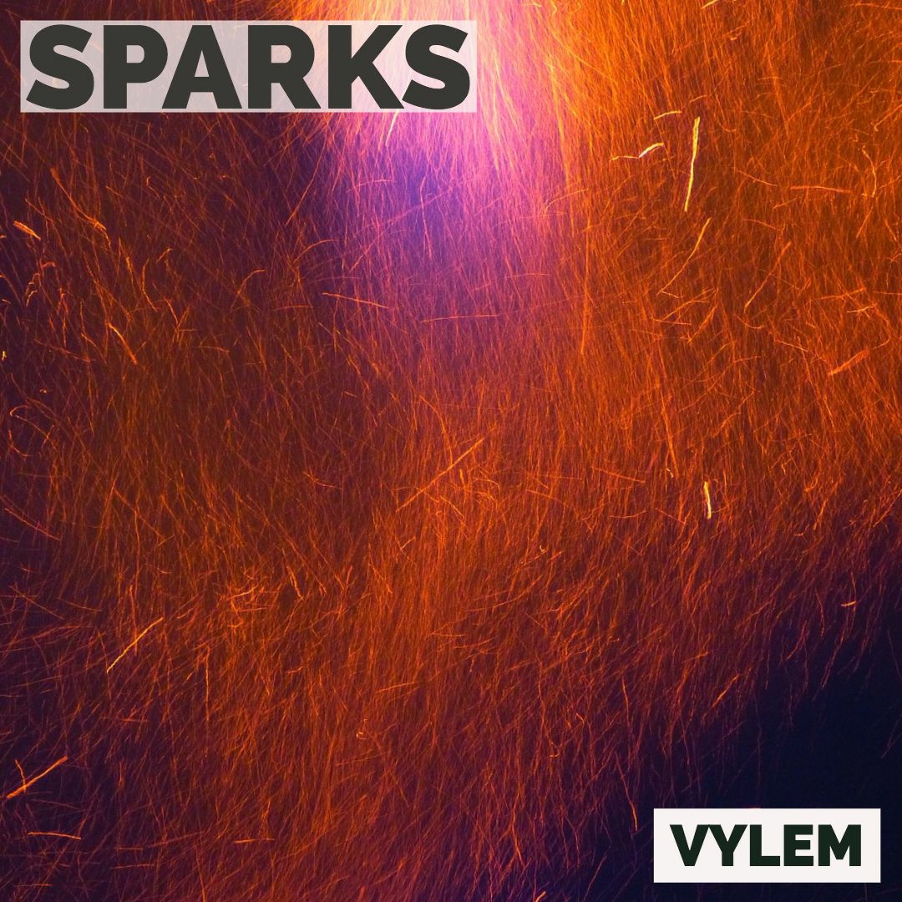 VYLEM