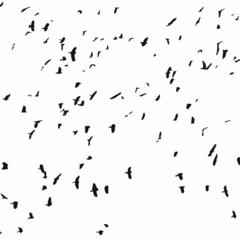 Hatear - Chasing (Prod.@Say Sry17)