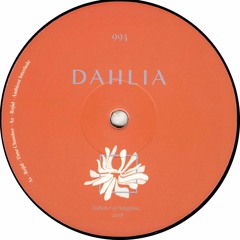 Rojid - Dahlia994 (DAHLIA994)