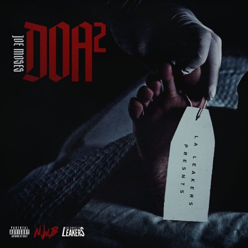 new joe moses