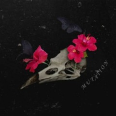 x Samossa, Dans Le Hall (BONUS TRACK)