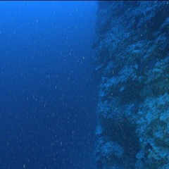 Joeski - Into The Deep Vol 2