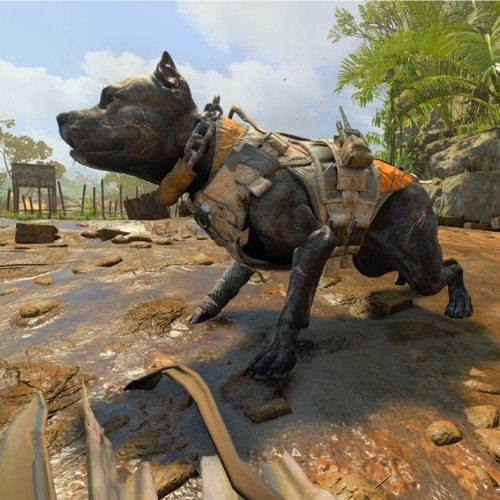 Gun n' Bass [Black Ops 4 Gun Sounds Orchestra]