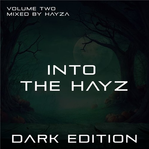 Into the Hayz - Volume Two (Dark Edition)