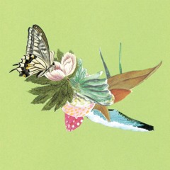 Rhucle -  Gentle Shadows