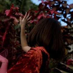 Autumn's Song - Stephen Day (Cover)