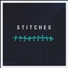 Shawn Mendes - Stitches (PEAK Remix)