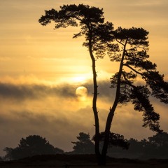 (Dance Fun) African Jungle