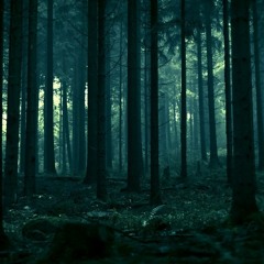 Noise Of Deep Jungle (amuamoss) Demo