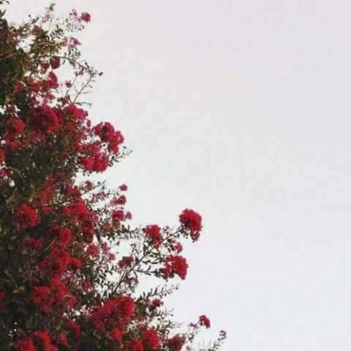 فَرَوْحٌ وَرَيْحَانٌ وَجَنَّةُ نَعِيمٍ | حاتم المالكي