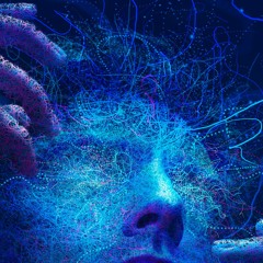 Seal Their Lid - Adonis