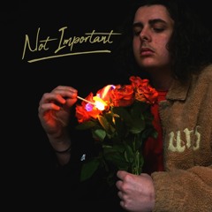 Not Important