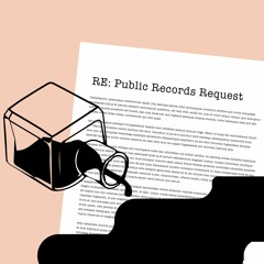 Foiled FOIAs: How UT Handles Public Information Requests