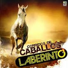 Mix-Laberinto-El Cadete-Corridos De Caballos-DJ Nexo - Exitos-Magia Mix
