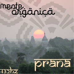 Mente Orgánica - Prana (Original Mix)