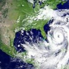 Fbn Gutta Kamikaze (Nina Ross n 50 Packs)