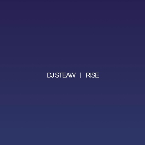 Dj Steaw - Rise  - ruti001lp