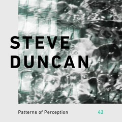 Patterns of Perception 42 - Steve Duncan