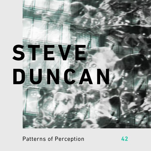 Patterns of Perception 42 - Steve Duncan