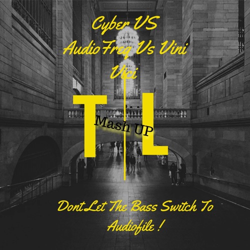 Cyber VS AudioFreq Vs Vini Vici - Dont Let The Bass Switch To Audiofile (Tazor & Lurks MashUp)