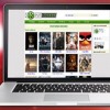 Putlockers movies and tv shows to Watch Online