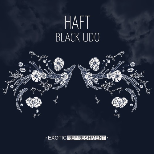 HAFT - Denic (Lukas Endhardt Acid Reflux)