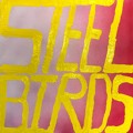 Slow&#x20;Pulp Steel&#x20;Birds Artwork