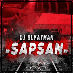 DJ Blyatman - Sapsan