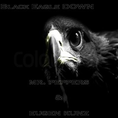 MR. Peppers & Eugen Kunz - Black Eagle DOWN (Original Mix) [CUT PREVIEW]
