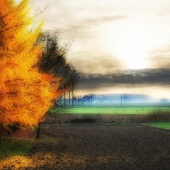 Pancho Vladigerov - Autumn Elegy