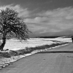 Selçuk Yalçın - Yalancı Bahar
