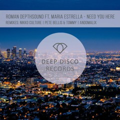 Roman Depthsound & Maria Estrella - Need You Here (Original Mix) preview