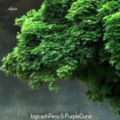FREE BEAT: cashREyy & PurpleDune - RAIN