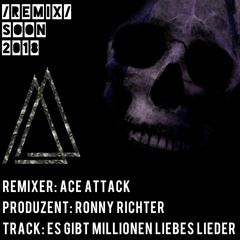 Es Gibt Millionen Liebes Lieder - Ronny Richter(AcE Attack Remix) Preview
