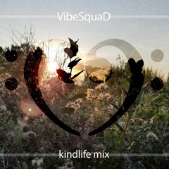 VibeSquaD KINDLIFE MIX [2018]