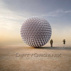 DiRTyORGANiX // Burning Sandflakes