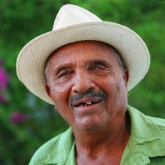 פאן