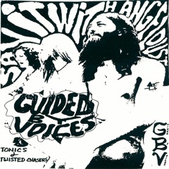 Guided By Voices - Universal Nurse Finger (pitch shifted)