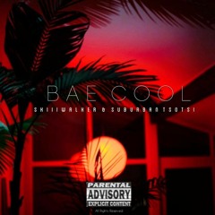 Skiiiwalker & Suburban Tsotsi - Bae Cool